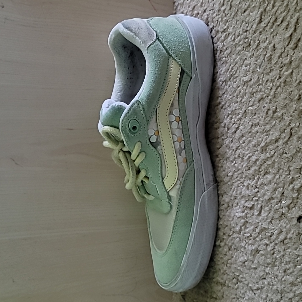 Vans Wayvee Brighton Skate Shoe